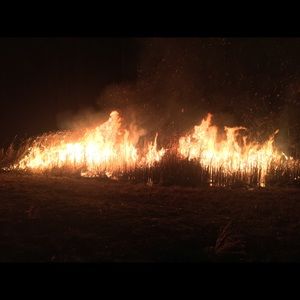 Meet your Posher, Larry